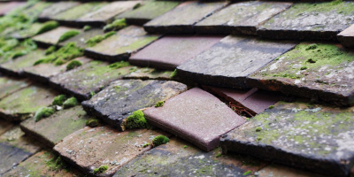 Barking roof repair costs